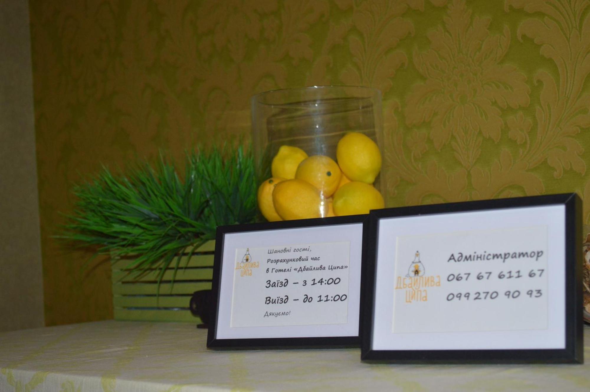 Дбайлива Ципа Bed & Breakfast Mizhhirya  Exterior photo